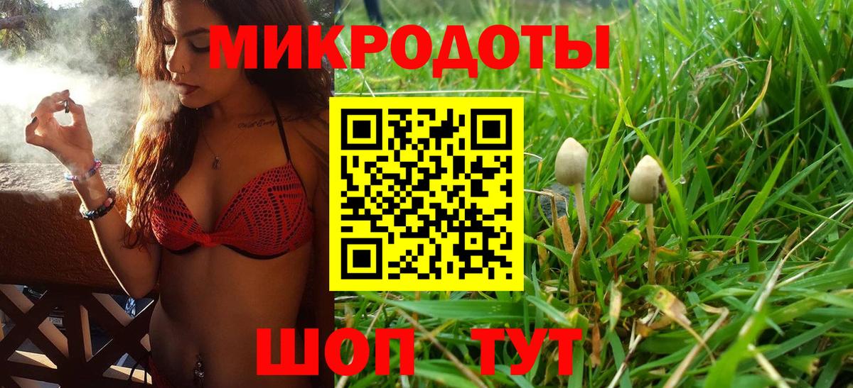 Владимир  Галлюциногенные грибы MAGIC MUSHROOMS  купить  цена  Вход с VPN 